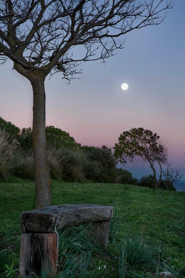 Appartamento Al Forte Di Talamonaccio Fonteblanda Buitenkant foto